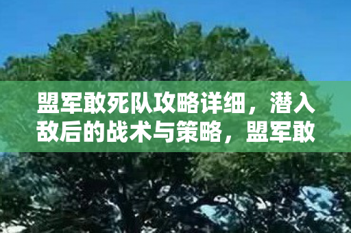 盟军敢死队攻略详细,潜入敌后的战术与策略,盟军敢死队,潜入敌后战术与策略全攻略 盟军敢死队攻略详细,潜入敌后的战术与策略,盟军敢死队,潜入敌后战术与策略全攻略