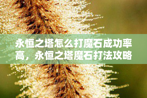 永恒之塔怎么打魔石成功率高,永恒之塔魔石打法攻略,提高成功率技巧 永恒之塔怎么打魔石成功率高,永恒之塔魔石打法攻略,提高成功率技巧
