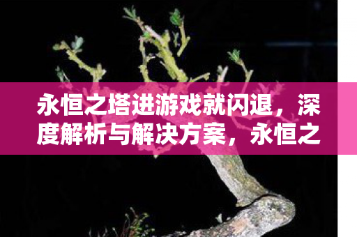 永恒之塔进游戏就闪退，深度解析与解决方案，永恒之塔闪退问题深度解析及解决方案