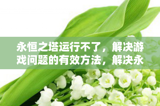 永恒之塔运行不了,解决游戏问题的有效方法,解决永恒之塔运行问题的有效方法 永恒之塔运行不了,解决游戏问题的有效方法,解决永恒之塔运行问题的有效方法