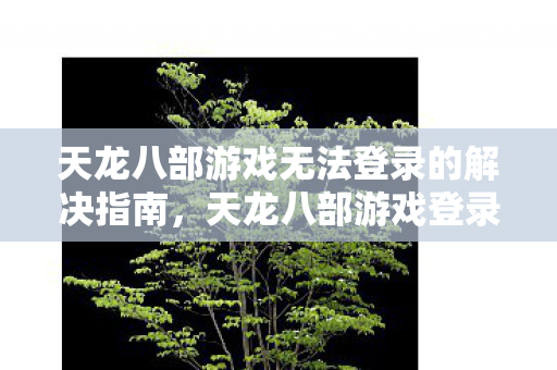 天龙八部游戏无法登录的解决指南图片
