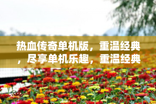 尽享热血传奇单机版乐趣图片
