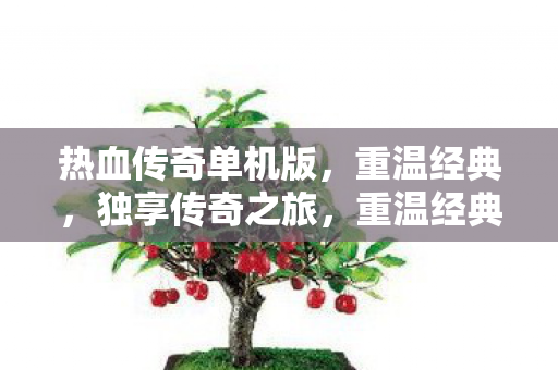 热血传奇单机版独享传奇体验图片