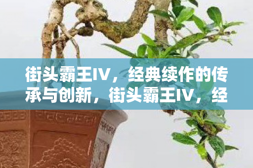 街头霸王IV,经典续作的传承与创新,街头霸王IV,经典与创新并存的续作 街头霸王IV,经典续作的传承与创新,街头霸王IV,经典与创新并存的续作