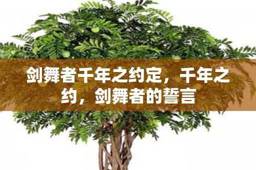 剑舞者千年之约定,千年之约,剑舞者的誓言 剑舞者千年之约定,千年之约,剑舞者的誓言