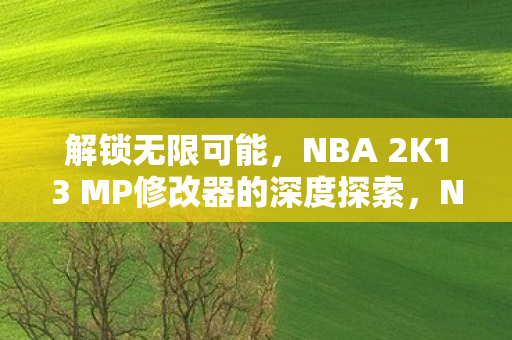解锁无限可能，NBA 2K13 MP修改器的深度探索，NBA 2K13 MP修改器，解锁无限可能，深度探索游戏潜力