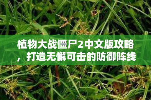 植物大战僵尸2中文版攻略,打造无懈可击的防御阵线,打造无懈可击的防御阵线,植物大战僵尸2中文版攻略 植物大战僵尸2中文版攻略,打造无懈可击的防御阵线,打造无懈可击的防御阵线,植物大战僵尸2中文版攻略
