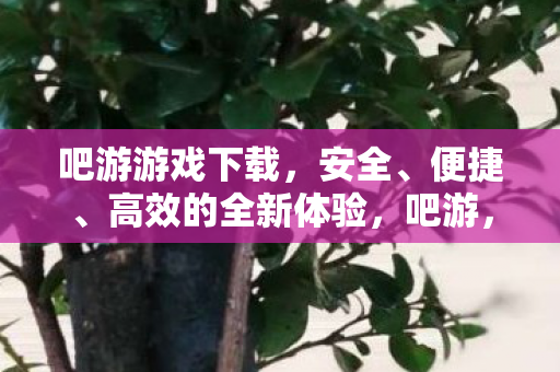吧游游戏下载,安全、便捷、高效的全新体验,吧游,安全、便捷、高效的全新游戏体验下载 吧游游戏下载,安全、便捷、高效的全新体验,吧游,安全、便捷、高效的全新游戏体验下载