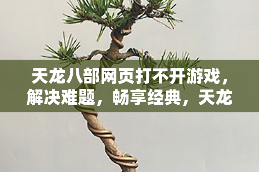 天龙八部网页打不开游戏,解决难题,畅享经典,天龙八部网页打不开游戏?教你解决难题,畅享经典! 天龙八部网页打不开游戏,解决难题,畅享经典,天龙八部网页打不开游戏?教你解决难题,畅享经典!