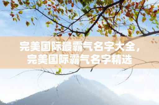 完美国际最霸气名字大全,完美国际霸气名字精选 完美国际最霸气名字大全,完美国际霸气名字精选