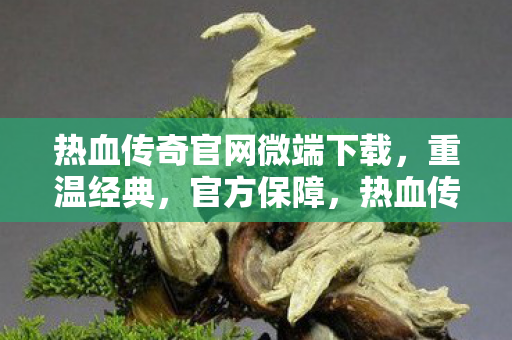 热血传奇官网微端下载,重温经典,官方保障,热血传奇官网微端,重温经典,官方保障 热血传奇官网微端下载,重温经典,官方保障,热血传奇官网微端,重温经典,官方保障