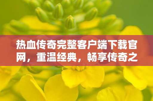 热血传奇完整客户端下载官网,重温经典,畅享传奇之旅,热血传奇官网,重温经典,畅享传奇之旅 热血传奇完整客户端下载官网,重温经典,畅享传奇之旅,热血传奇官网,重温经典,畅享传奇之旅