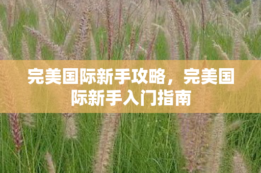 完美国际新手攻略,完美国际新手入门指南 完美国际新手攻略,完美国际新手入门指南