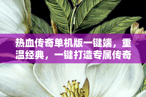 热血传奇单机版一键端，重温经典，一键打造专属传奇世界，一键打造专属传奇世界，热血传奇单机版全新体验