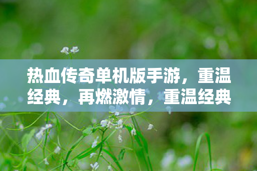 热血传奇单机版手游，重温经典，再燃激情，重温经典再燃激情，热血传奇单机版手游来袭