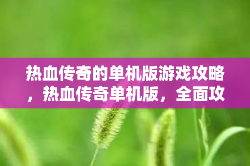 热血传奇的单机版游戏攻略,热血传奇单机版,全面攻略指南 热血传奇的单机版游戏攻略,热血传奇单机版,全面攻略指南
