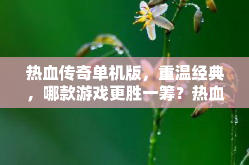 热血传奇单机版,重温经典,哪款游戏更胜一筹?热血传奇单机版,哪款游戏更胜一筹? 热血传奇单机版,重温经典,哪款游戏更胜一筹?热血传奇单机版,哪款游戏更胜一筹?