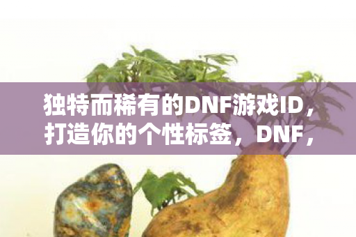 独特而稀有的DNF游戏ID,打造你的个性标签,DNF,打造稀有游戏ID,彰显个性标签 独特而稀有的DNF游戏ID,打造你的个性标签,DNF,打造稀有游戏ID,彰显个性标签