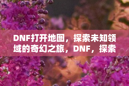 DNF打开地图,探索未知领域的奇幻之旅,DNF,探索未知领域的奇幻之旅 DNF打开地图,探索未知领域的奇幻之旅,DNF,探索未知领域的奇幻之旅