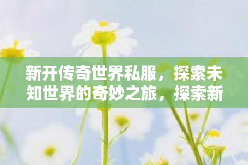 新开传奇世界私服,探索未知世界的奇妙之旅,探索新开传奇世界私服,开启奇妙冒险之旅 新开传奇世界私服,探索未知世界的奇妙之旅,探索新开传奇世界私服,开启奇妙冒险之旅