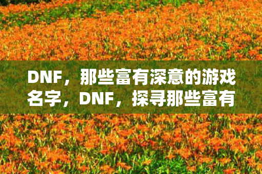 DNF,那些富有深意的游戏名字,DNF,探寻那些富有深意的游戏名字背后的故事 DNF,那些富有深意的游戏名字,DNF,探寻那些富有深意的游戏名字背后的故事