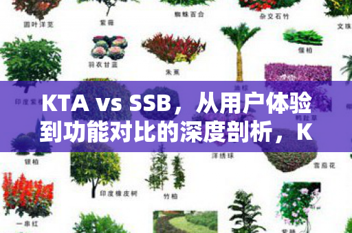 KTA vs SSB,从用户体验到功能对比的深度剖析,KTA vs SSB,用户体验与功能深度对比 KTA vs SSB,从用户体验到功能对比的深度剖析,KTA vs SSB,用户体验与功能深度对比