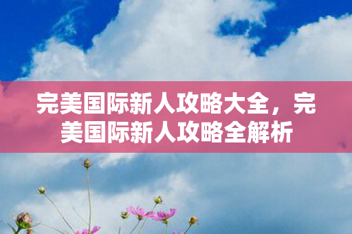 完美国际新人攻略大全,完美国际新人攻略全解析 完美国际新人攻略大全,完美国际新人攻略全解析