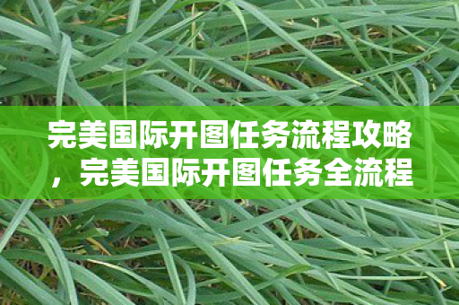 完美国际开图任务全流程攻略图片
