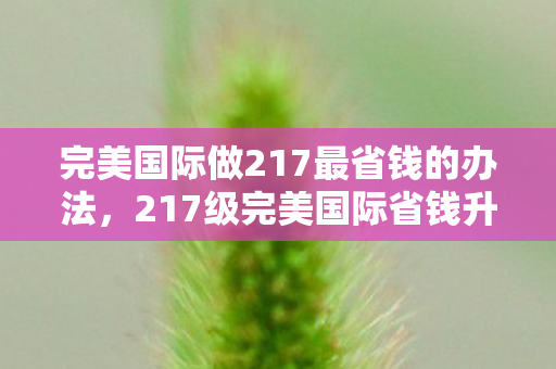 完美国际做217最省钱的办法,217级完美国际省钱升级攻略 完美国际做217最省钱的办法,217级完美国际省钱升级攻略