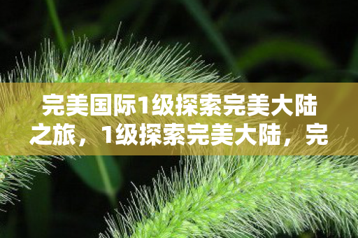 完美国际1级探索完美大陆之旅，1级探索完美大陆，完美国际之旅启程