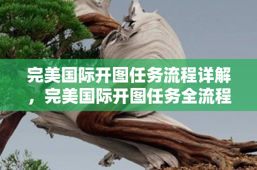 完美国际开图任务流程详解,完美国际开图任务全流程指南 完美国际开图任务流程详解,完美国际开图任务全流程指南
