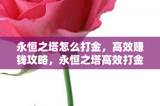 永恒之塔怎么打金,高效赚钱攻略,永恒之塔高效打金赚钱攻略 永恒之塔怎么打金,高效赚钱攻略,永恒之塔高效打金赚钱攻略