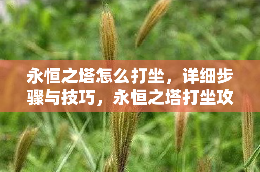 永恒之塔怎么打坐图片
