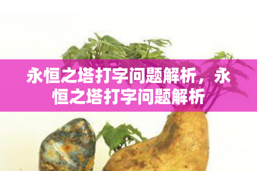 永恒之塔打字问题解析图片