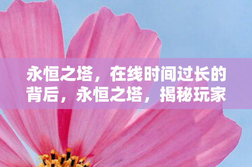 揭秘玩家在线时间过长之谜图片