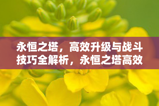 永恒之塔高效升级与战斗技巧全解析图片