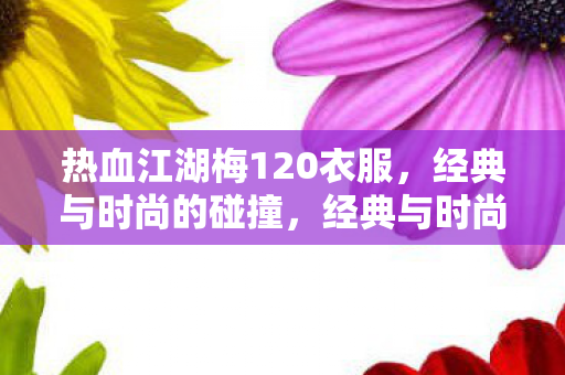 热血江湖梅120衣服图片