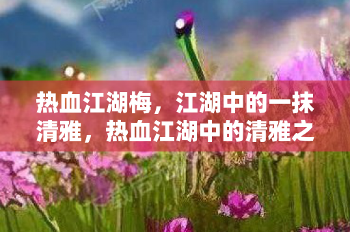 热血江湖中的清雅之梅图片