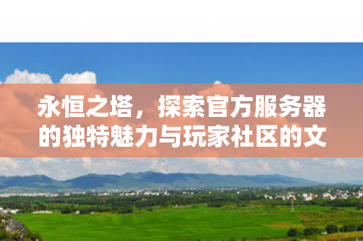 探索官方服务器的独特魅力与玩家社区的文化构建图片