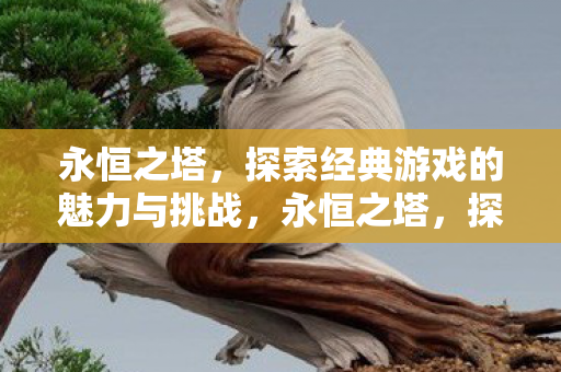 探索经典游戏的魅力与挑战图片