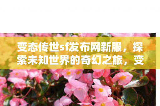 变态传世sf发布网新服,探索未知世界的奇幻之旅,变态传世sf发布网新服,开启探索未知世界的奇幻之旅 变态传世sf发布网新服,探索未知世界的奇幻之旅,变态传世sf发布网新服,开启探索未知世界的奇幻之旅