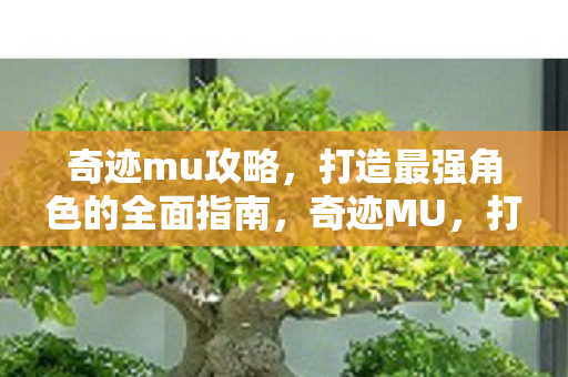 奇迹mu攻略,打造最强角色的全面指南,奇迹MU,打造最强角色的全面攻略 奇迹mu攻略,打造最强角色的全面指南,奇迹MU,打造最强角色的全面攻略
