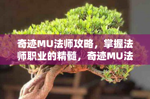 奇迹MU法师攻略,掌握法师职业的精髓,奇迹MU法师攻略,掌握法师职业的精髓 奇迹MU法师攻略,掌握法师职业的精髓,奇迹MU法师攻略,掌握法师职业的精髓