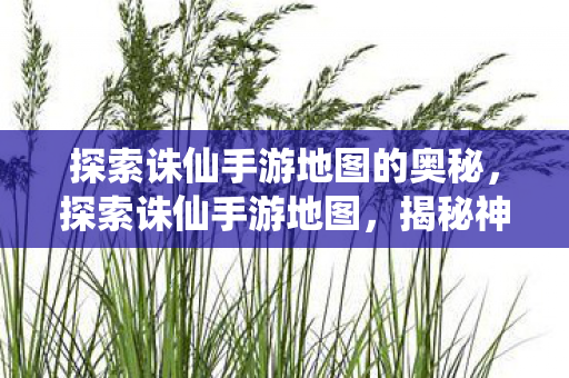 探索诛仙手游地图的奥秘,探索诛仙手游地图,揭秘神秘世界 探索诛仙手游地图的奥秘,探索诛仙手游地图,揭秘神秘世界