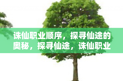 诛仙职业顺序,探寻仙途的奥秘,探寻仙途,诛仙职业顺序揭秘 诛仙职业顺序,探寻仙途的奥秘,探寻仙途,诛仙职业顺序揭秘
