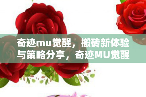 奇迹mu觉醒，搬砖新体验与策略分享，奇迹MU觉醒，全新搬砖体验与策略分享