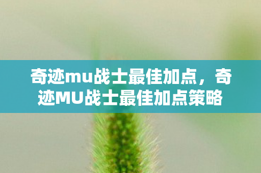 奇迹mu战士最佳加点,奇迹MU战士最佳加点策略 奇迹mu战士最佳加点,奇迹MU战士最佳加点策略