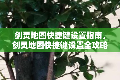 剑灵地图快捷键设置指南,剑灵地图快捷键设置全攻略 剑灵地图快捷键设置指南,剑灵地图快捷键设置全攻略