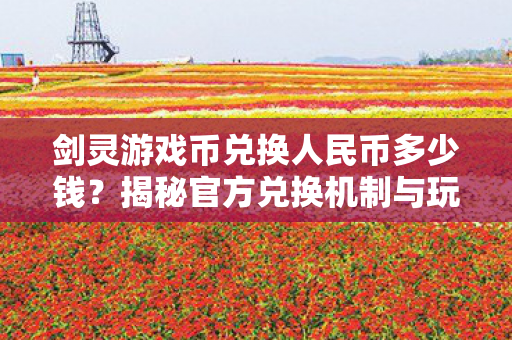 揭秘剑灵游戏币官方兑换机制与玩家经验分享图片