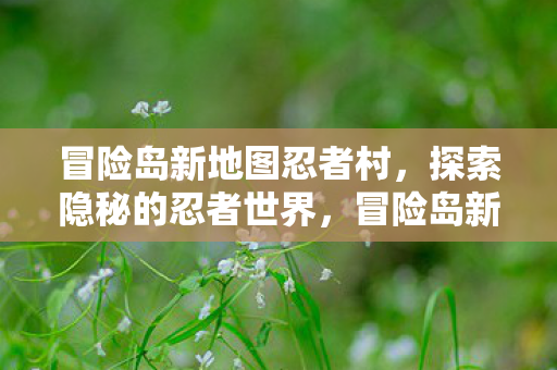 冒险岛新地图忍者村,探索隐秘的忍者世界,冒险岛新地图忍者村,探索隐秘的忍者世界 冒险岛新地图忍者村,探索隐秘的忍者世界,冒险岛新地图忍者村,探索隐秘的忍者世界